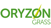 ORYZON GRASS