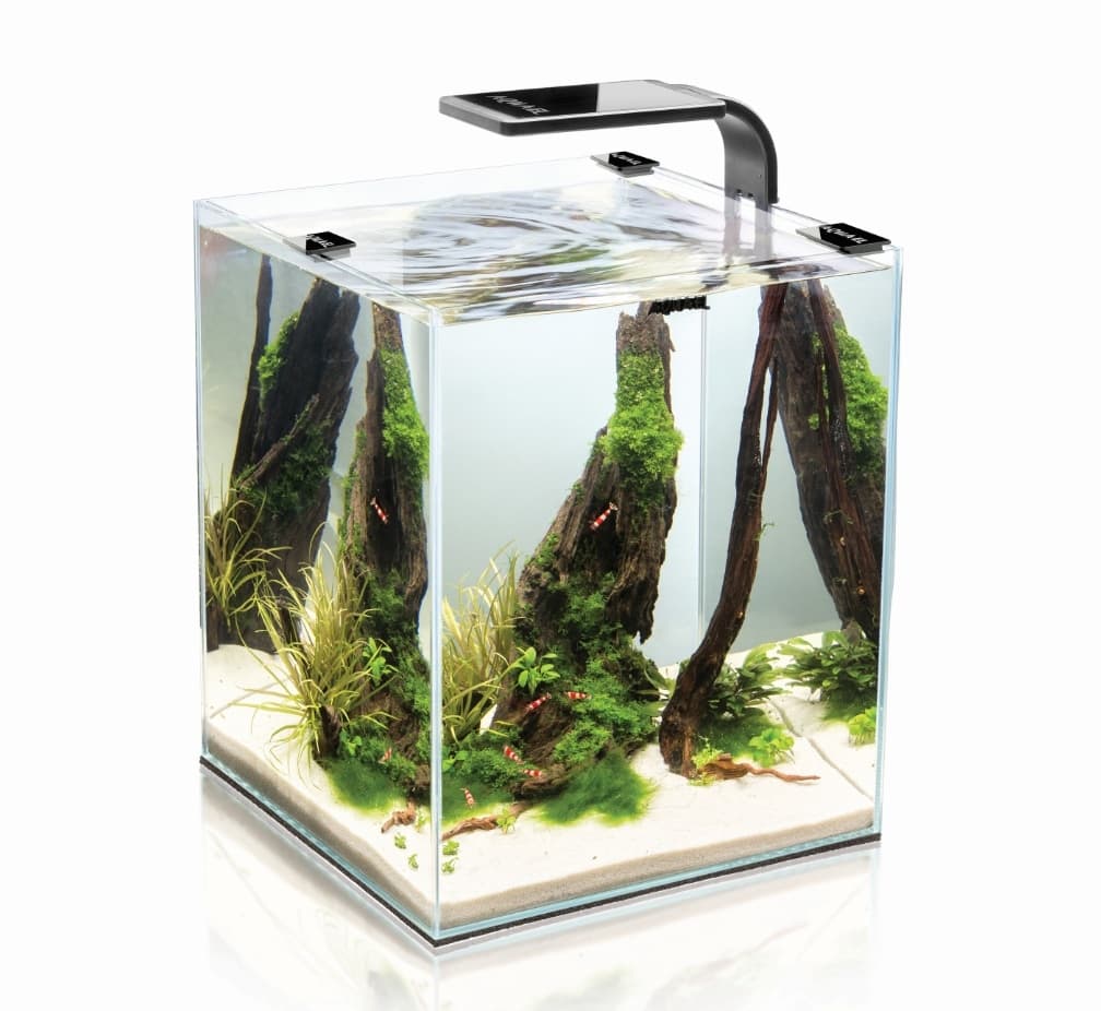 Аквариум Smart 10 black / LED лампа 20х20х25см / 10л
