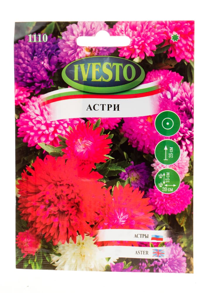 Семена за ниски астри микс Ivesto