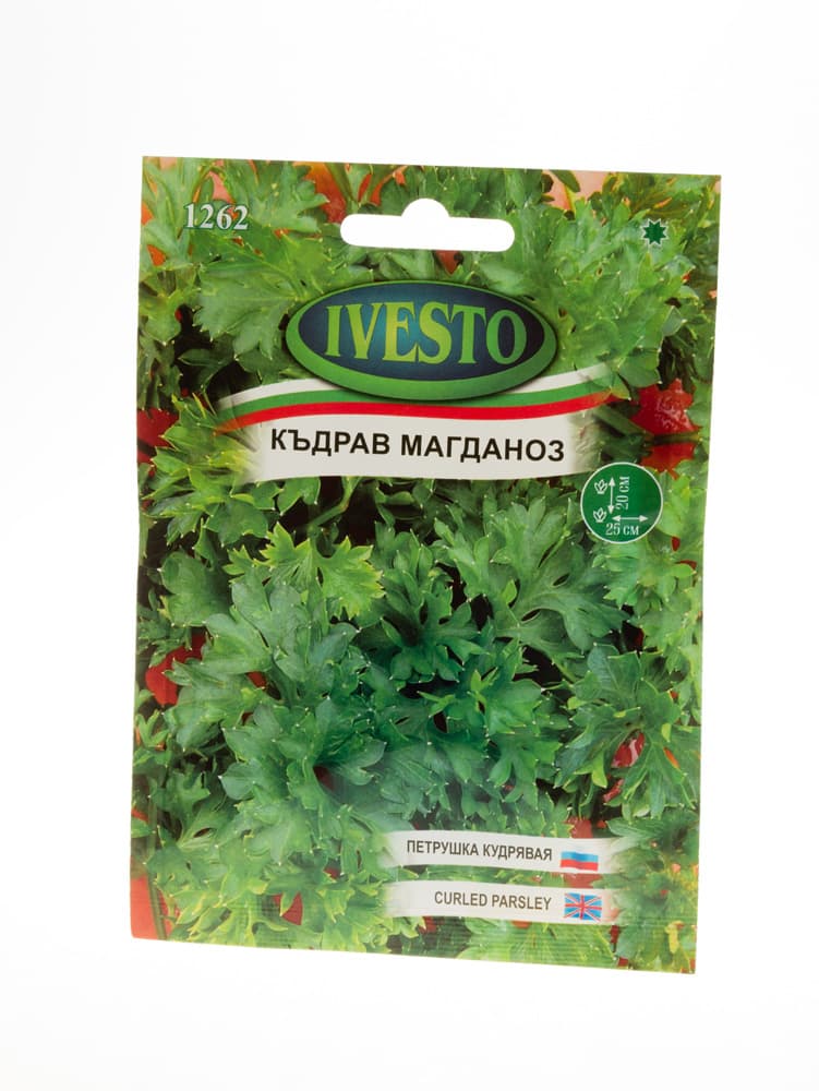 Семена за къдрав магданоз Ivesto