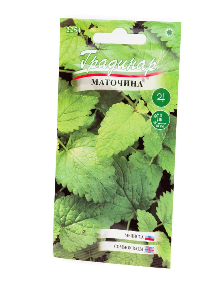 Семена за маточина