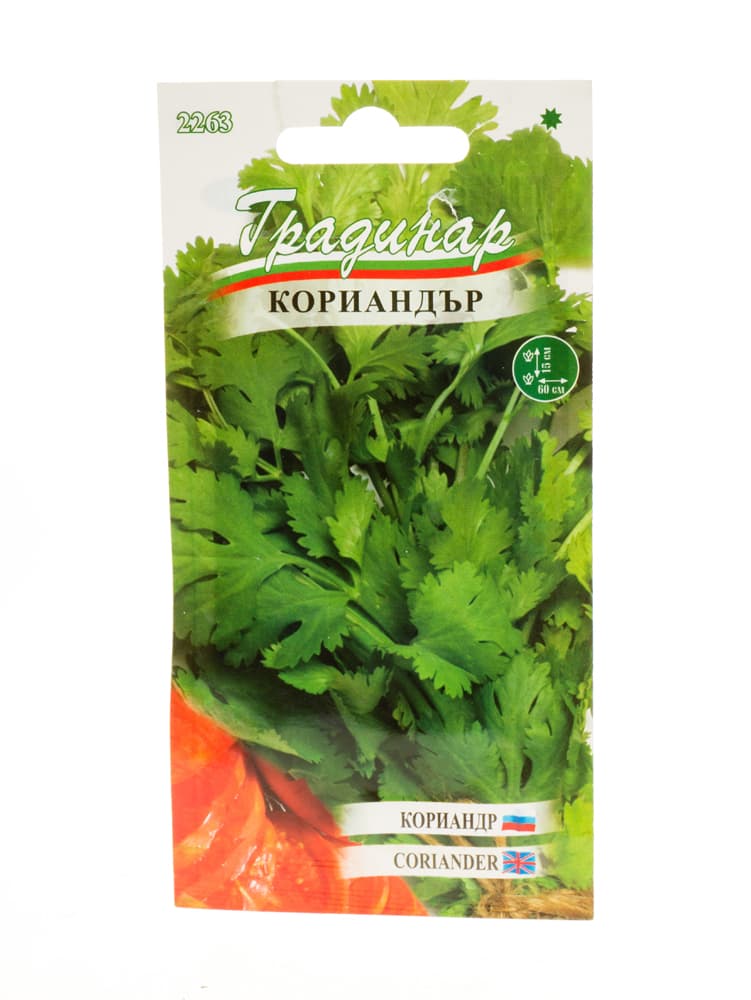 Кориандър