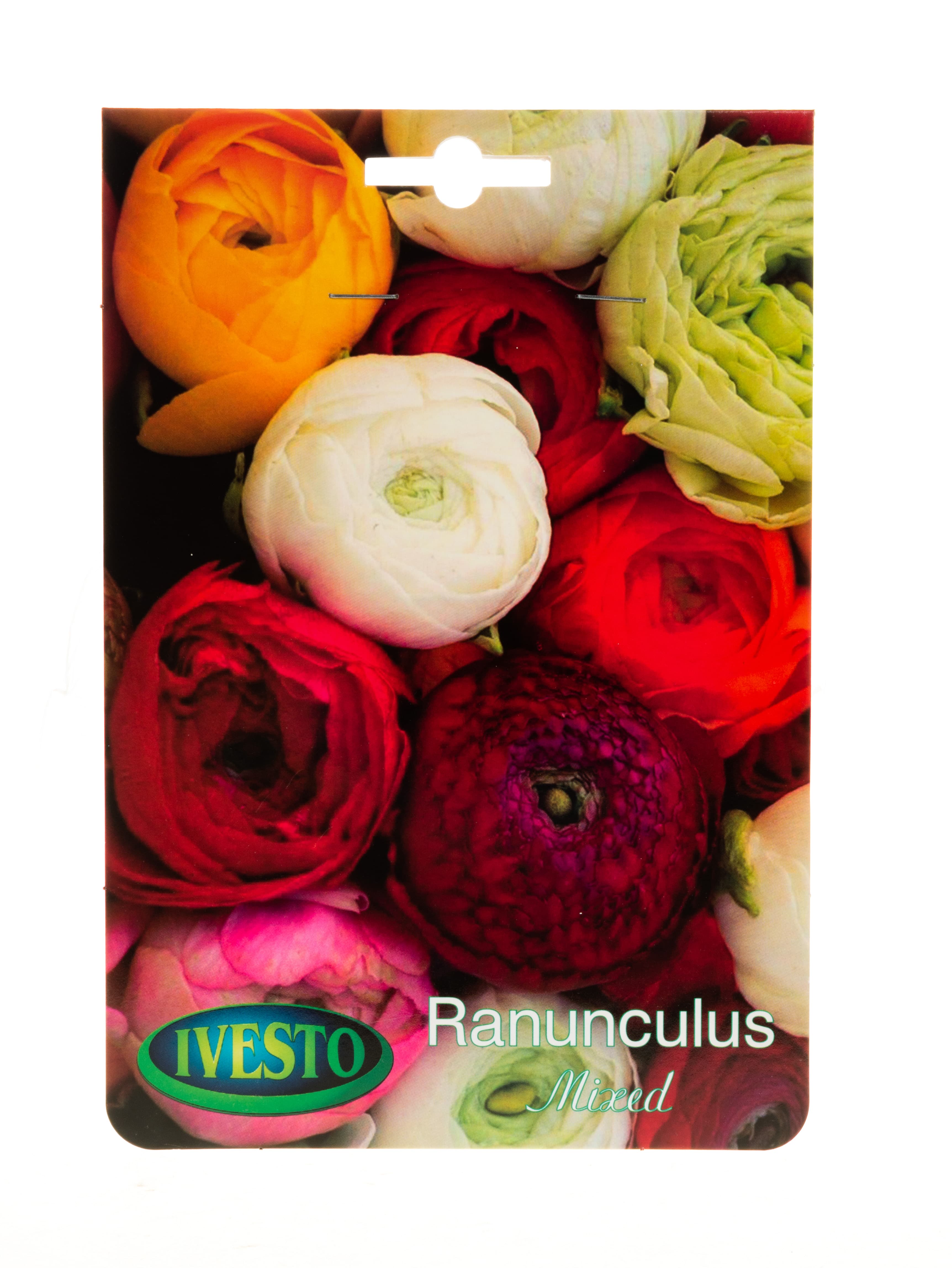 Луковици ранункулус Ranunculus Ivesto