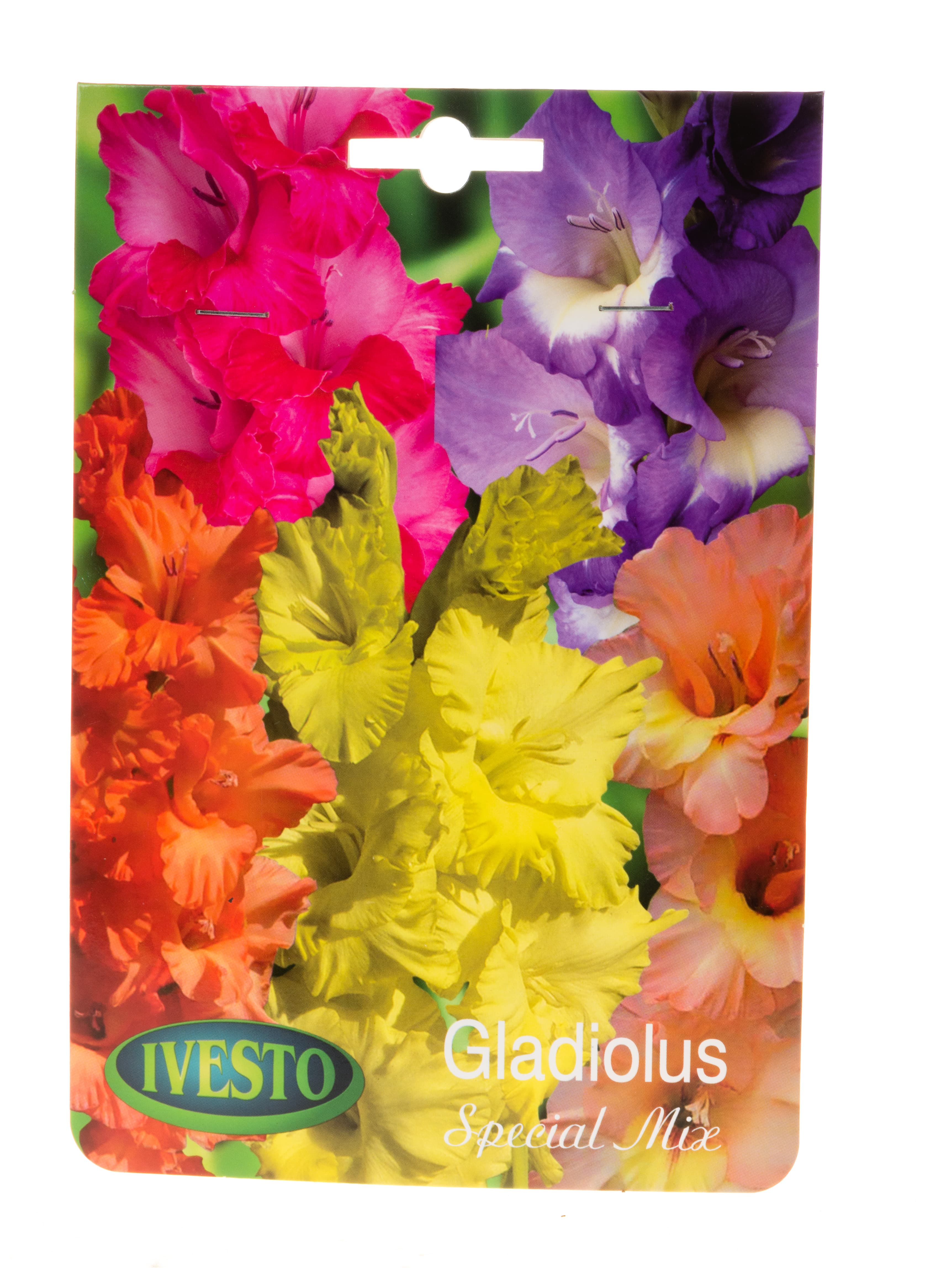 Луковици гладиола / gladiolus mix Ivesto 