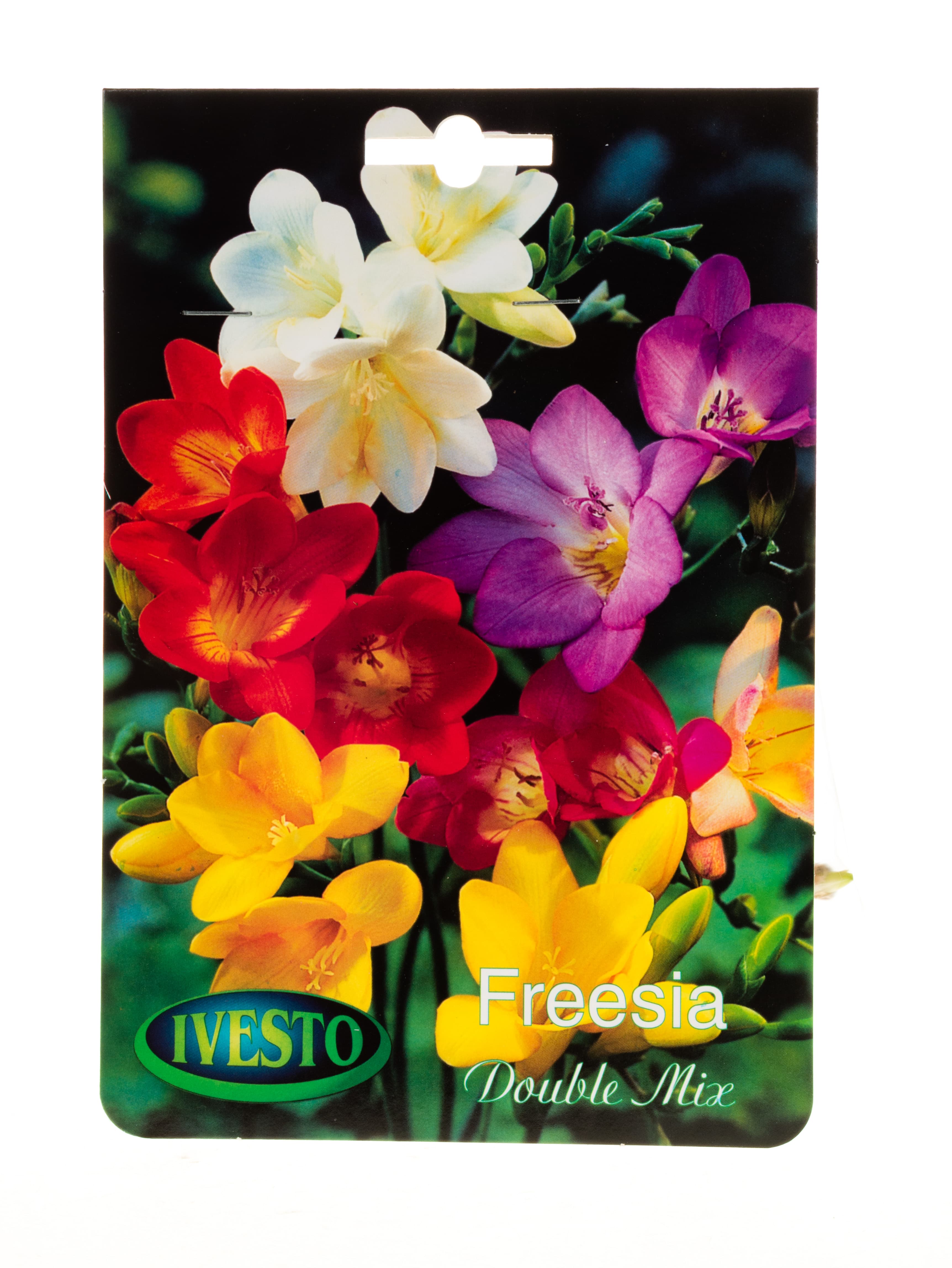 Луковици фрезия / Freesia double flowering mixed Ivesto 