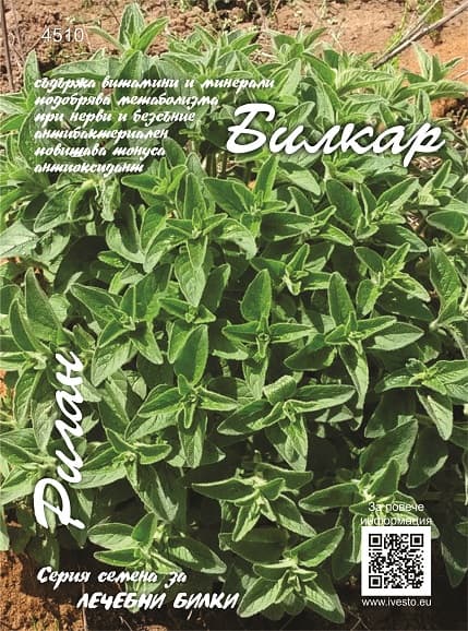 Семена за лечебни билки Риган 