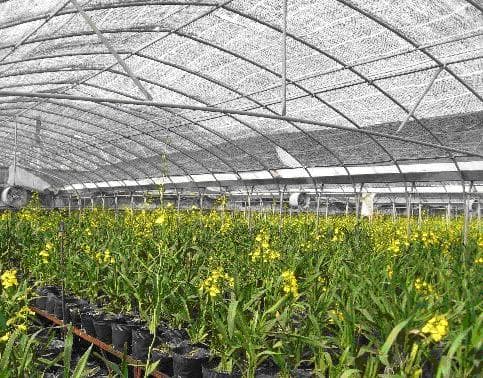 Засенчваща мрежа My Garden 40% ширина 6м           