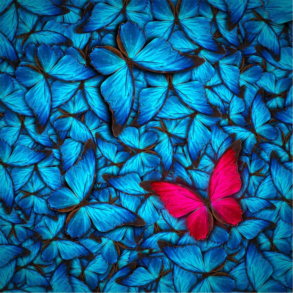 Картина Glass Art KGLS-1010 пеперуди 20x20cm