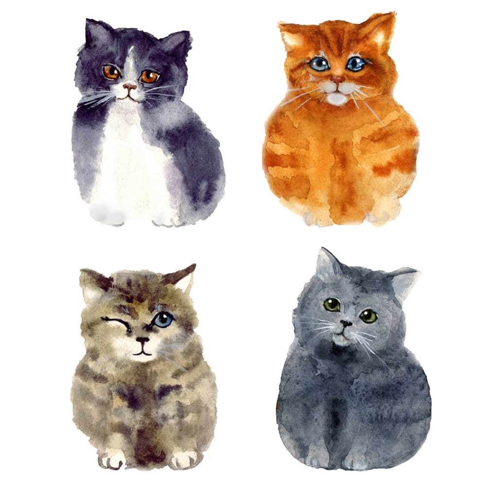 Картина Canvas FCV-077 котенца 68x68cm