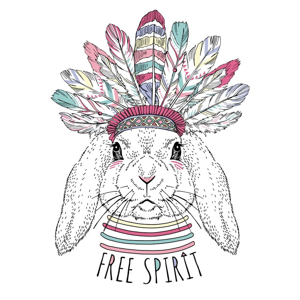 Картина Canvas FCV-091 Free spirit 68x68 см
