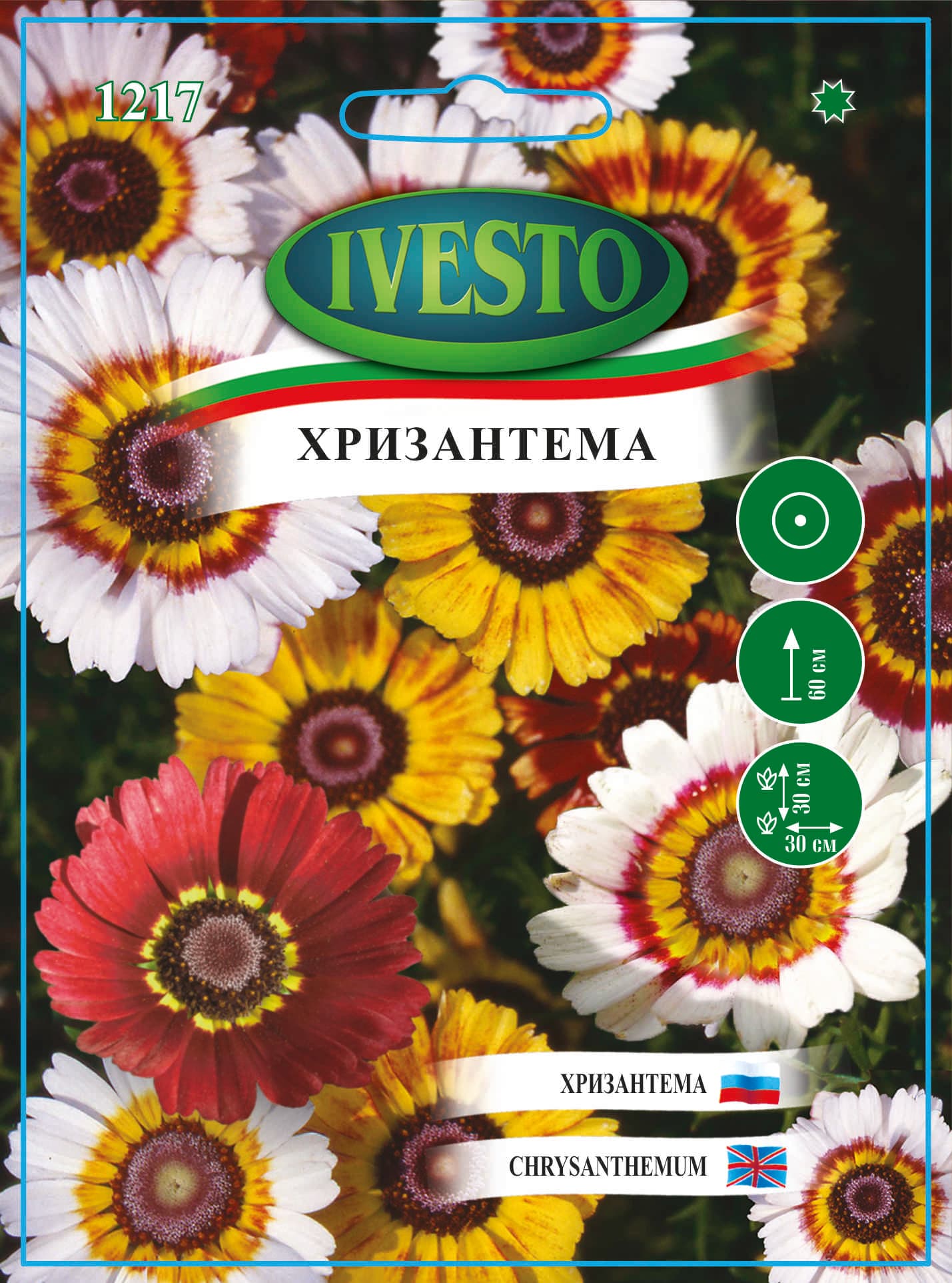 Хризантема / Семена за цветя  