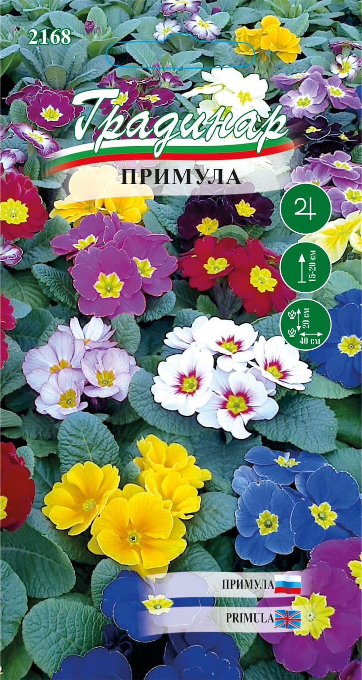 Примула Микс / Семена за цветя Градинар