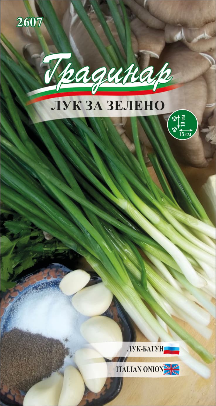 Лук за връзки / Семена за зеленчуци Градинар 
