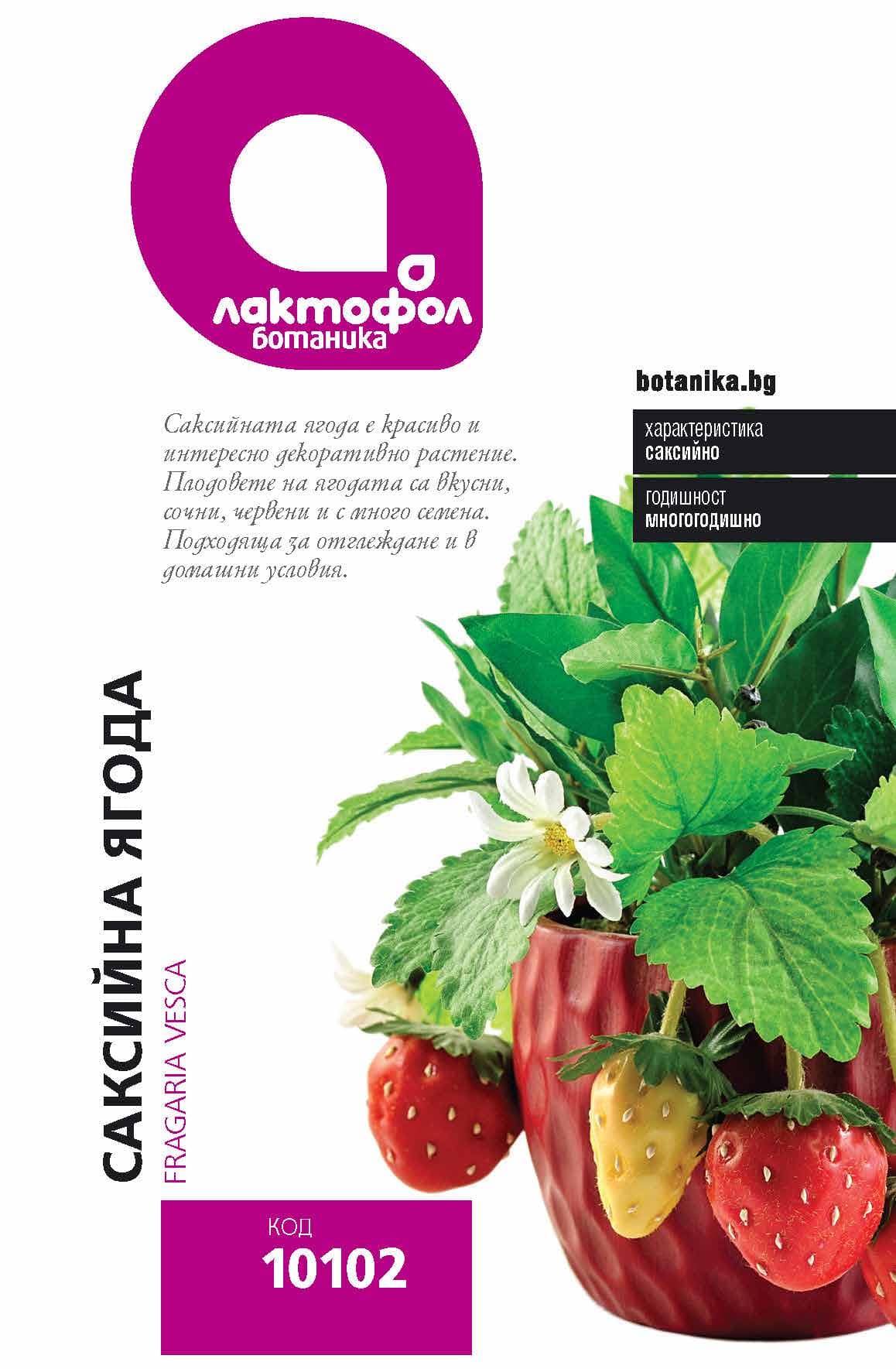 Семена Саксийна ягода Лактофол Ботаник