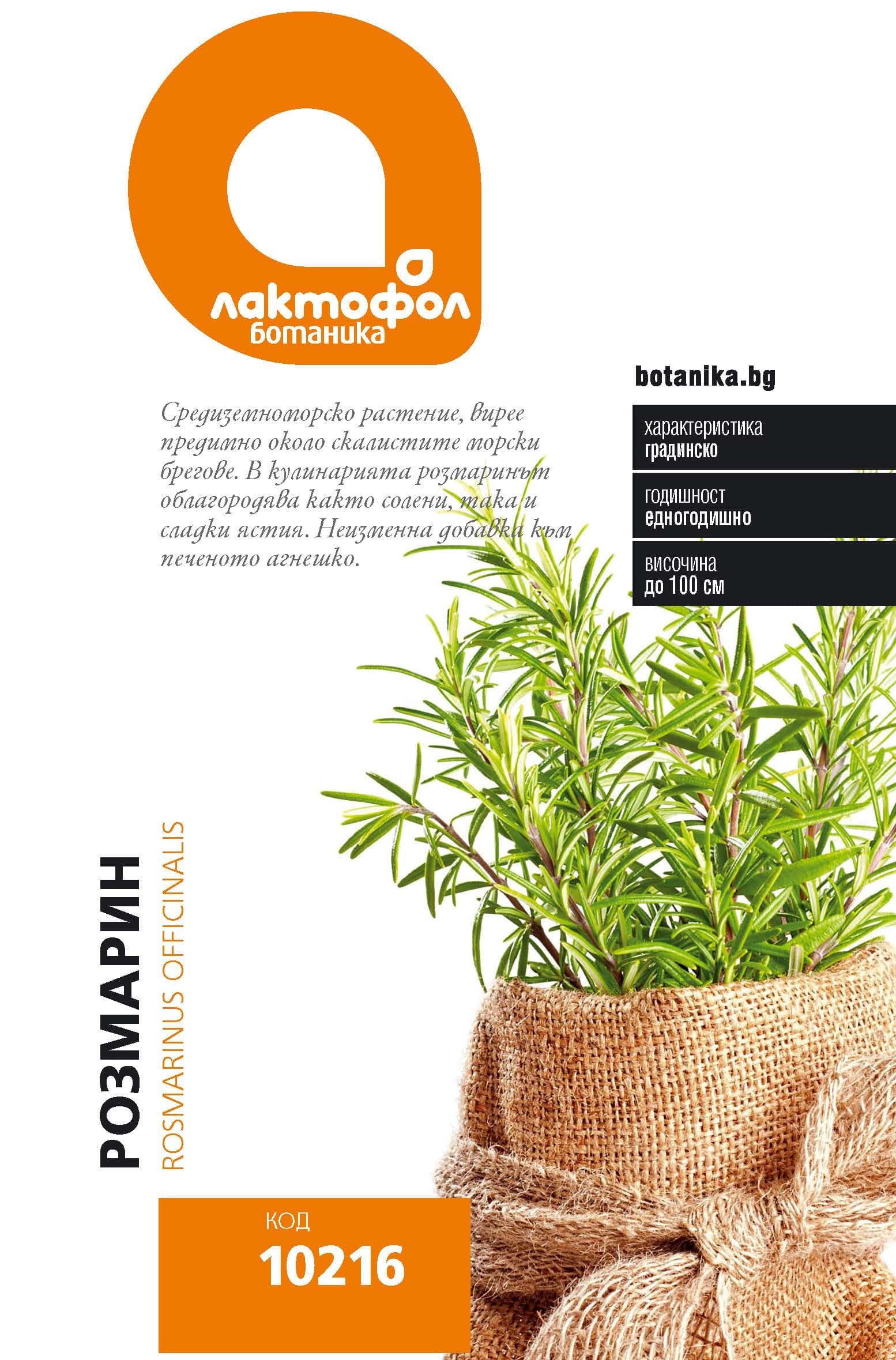 Семена Розмарин Лактофол Ботаник