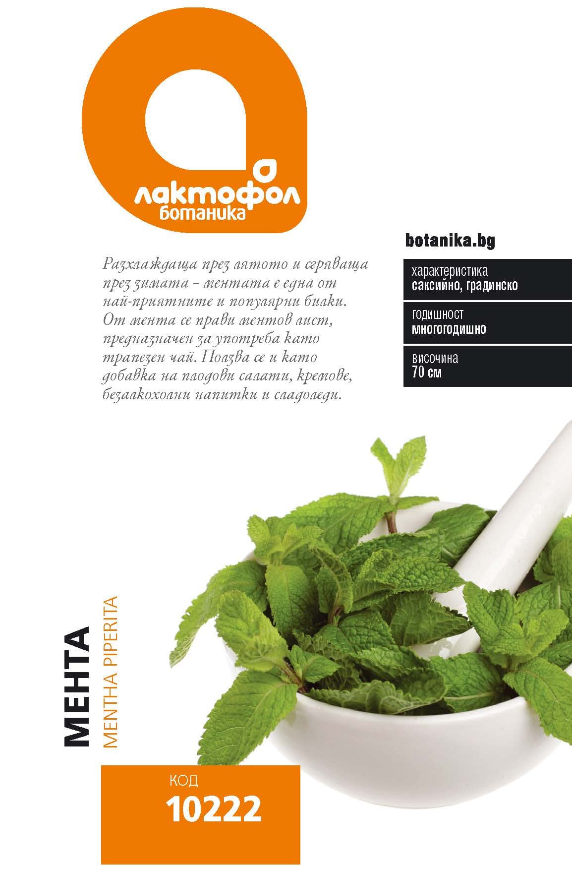 Семена Мента Лактофол Ботаник