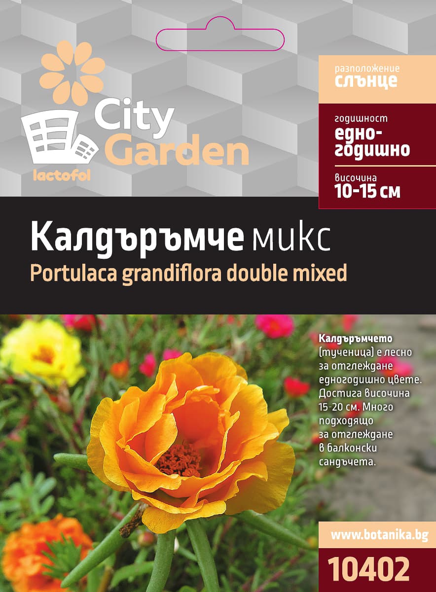 Семена Калдъръмче микс City Garden
