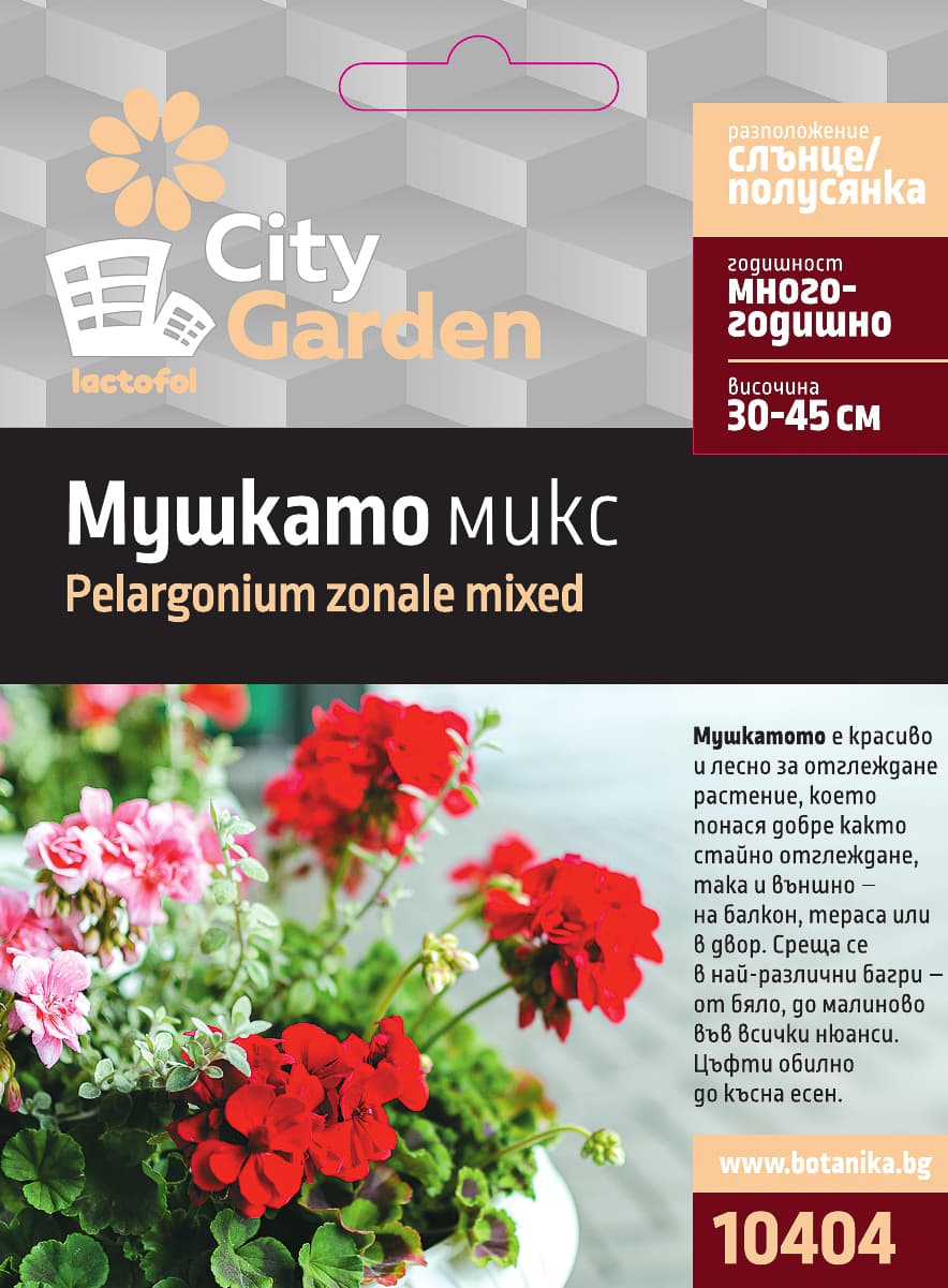 Семена Мушкато микс City Garden