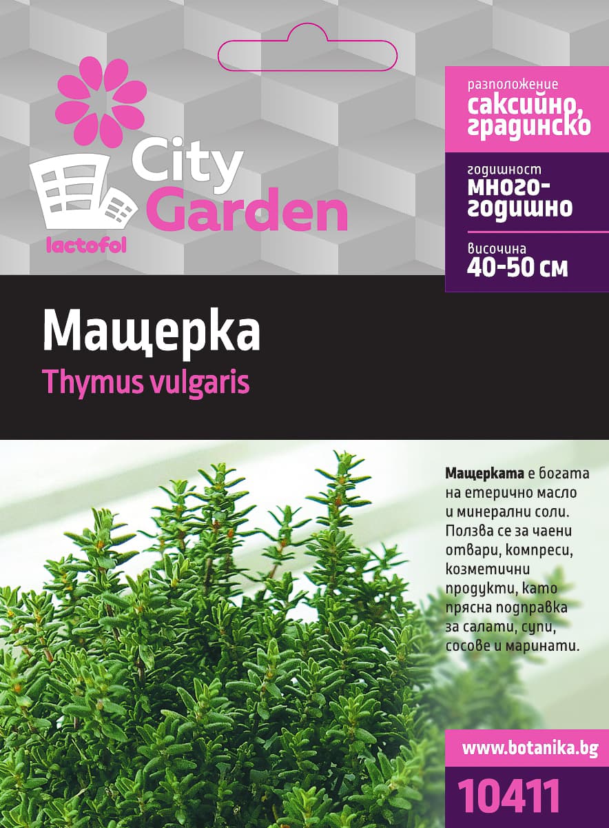 Семена Мащерка City Garden