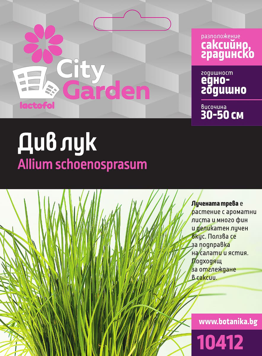 Семена Див лук City Garden