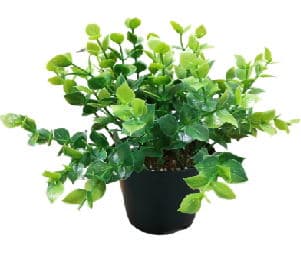 Изкуствено цвете в саксия My Garden KD07155 Бонзай 18см