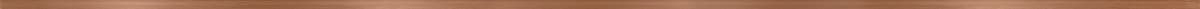 Фриз Metal Copper Border Matt 1x119,8см