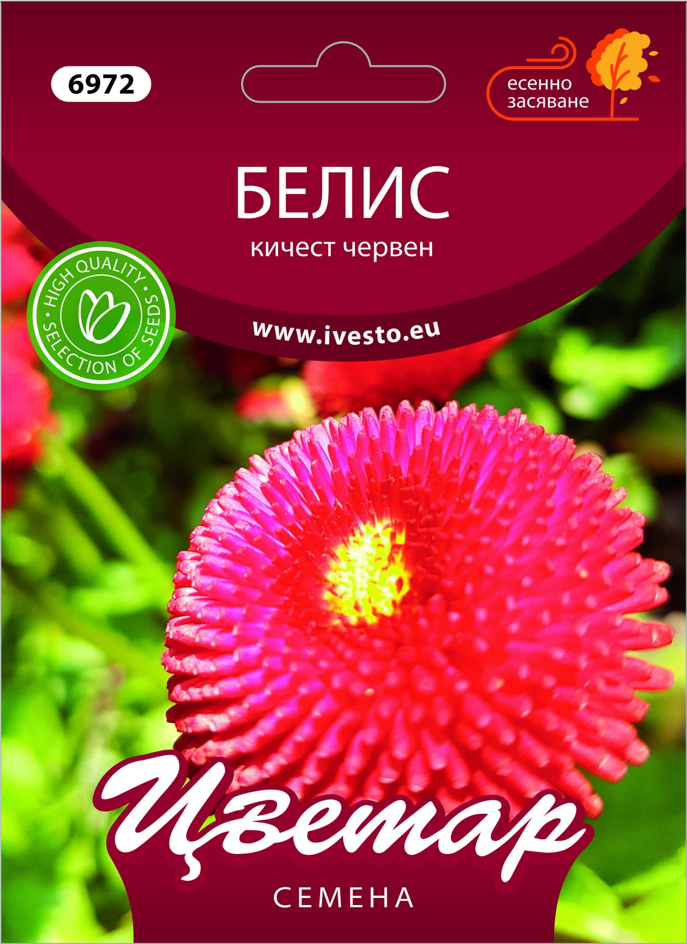 Семена за есенни цветя Белис кичест червен