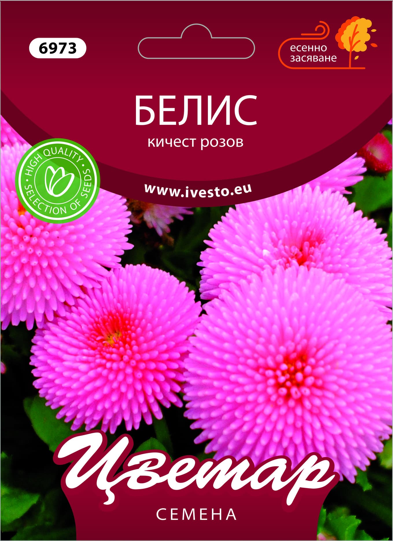 Семена за есенни цветя Белис кичест розов