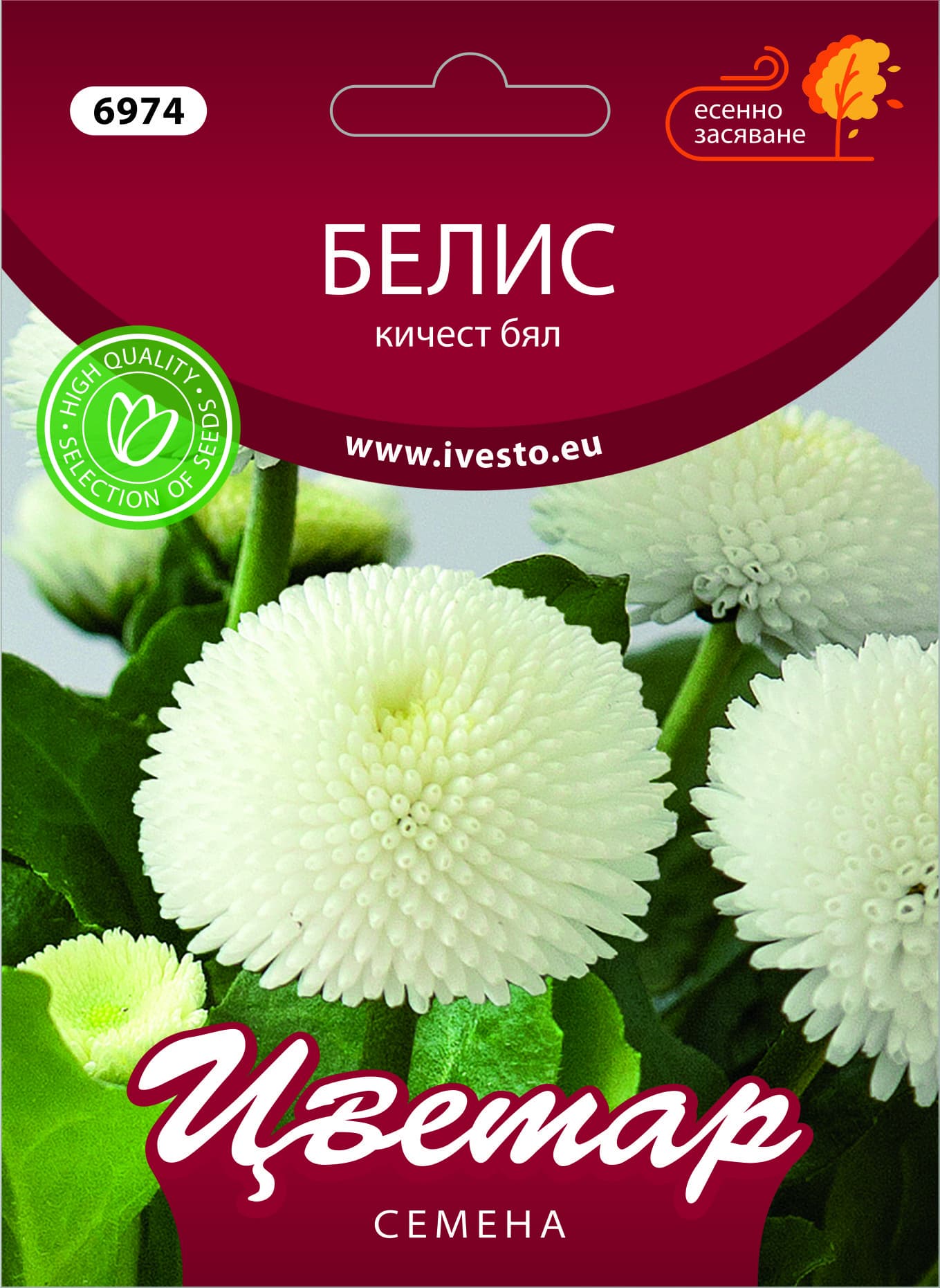 Семена за есенни цветя Белис кичест бял