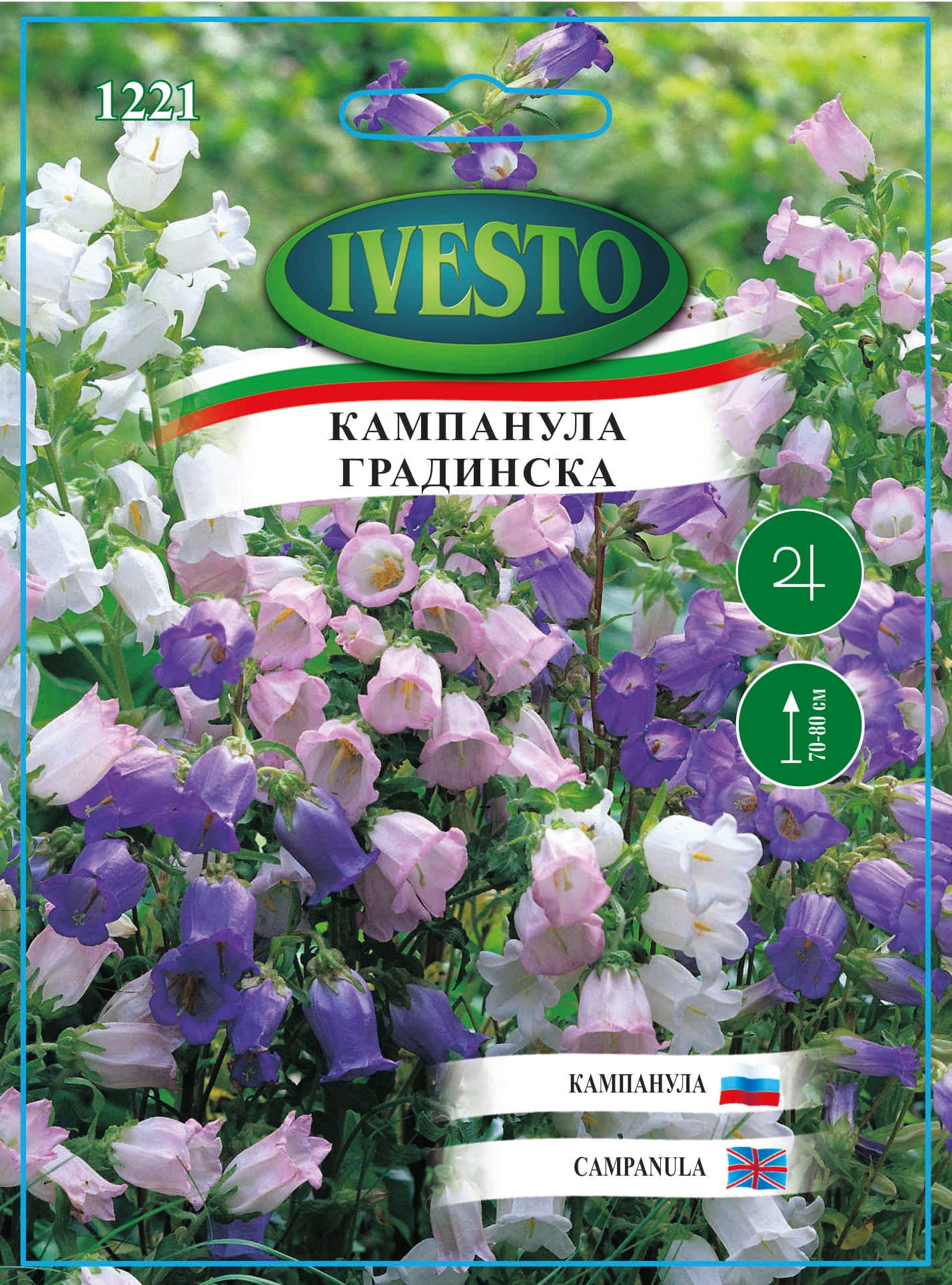 Семена Ivesto Кампанула 1221