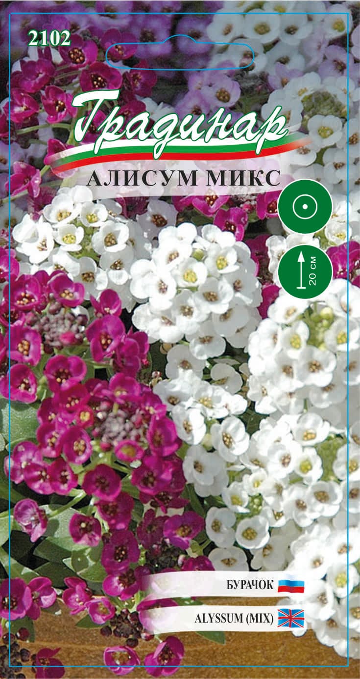 Семена Алисум микс 2102