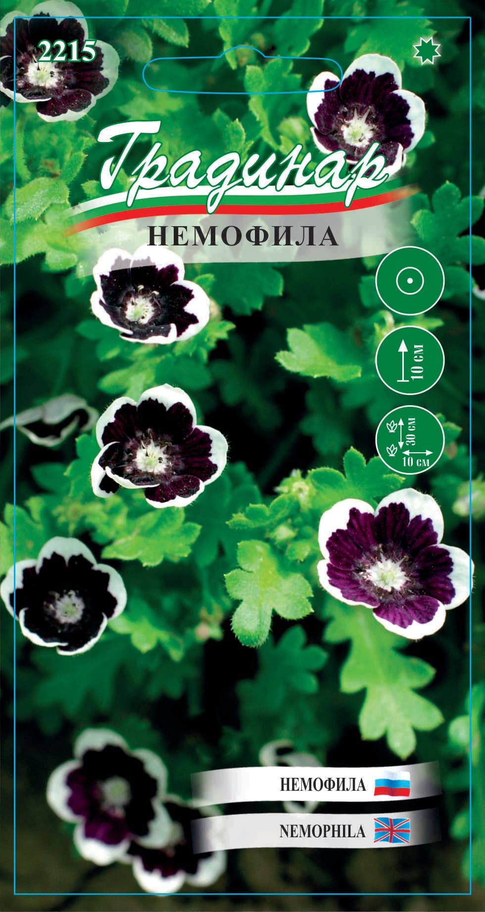 Семена Немофила 2215