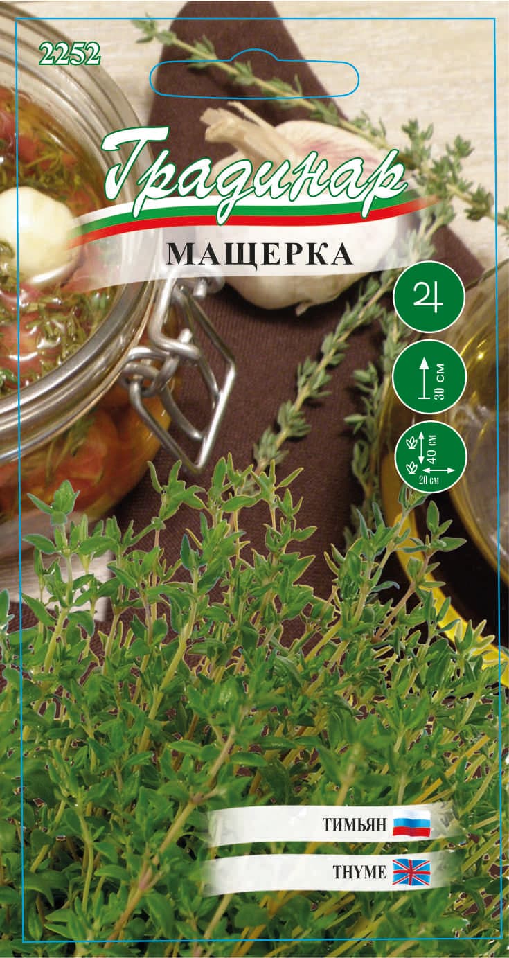 Семена Мащерка 2252