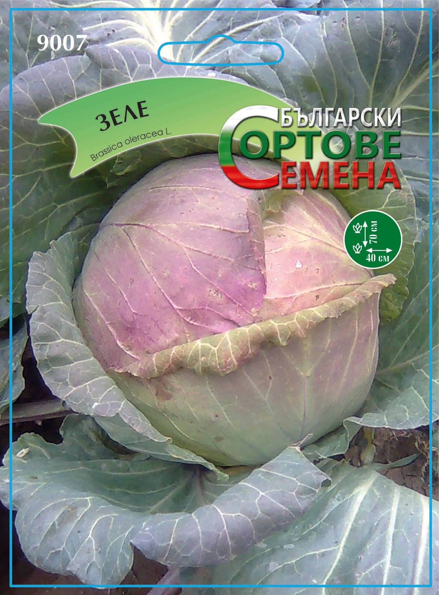 Сортови семена / Пазарджишко зеле 9007