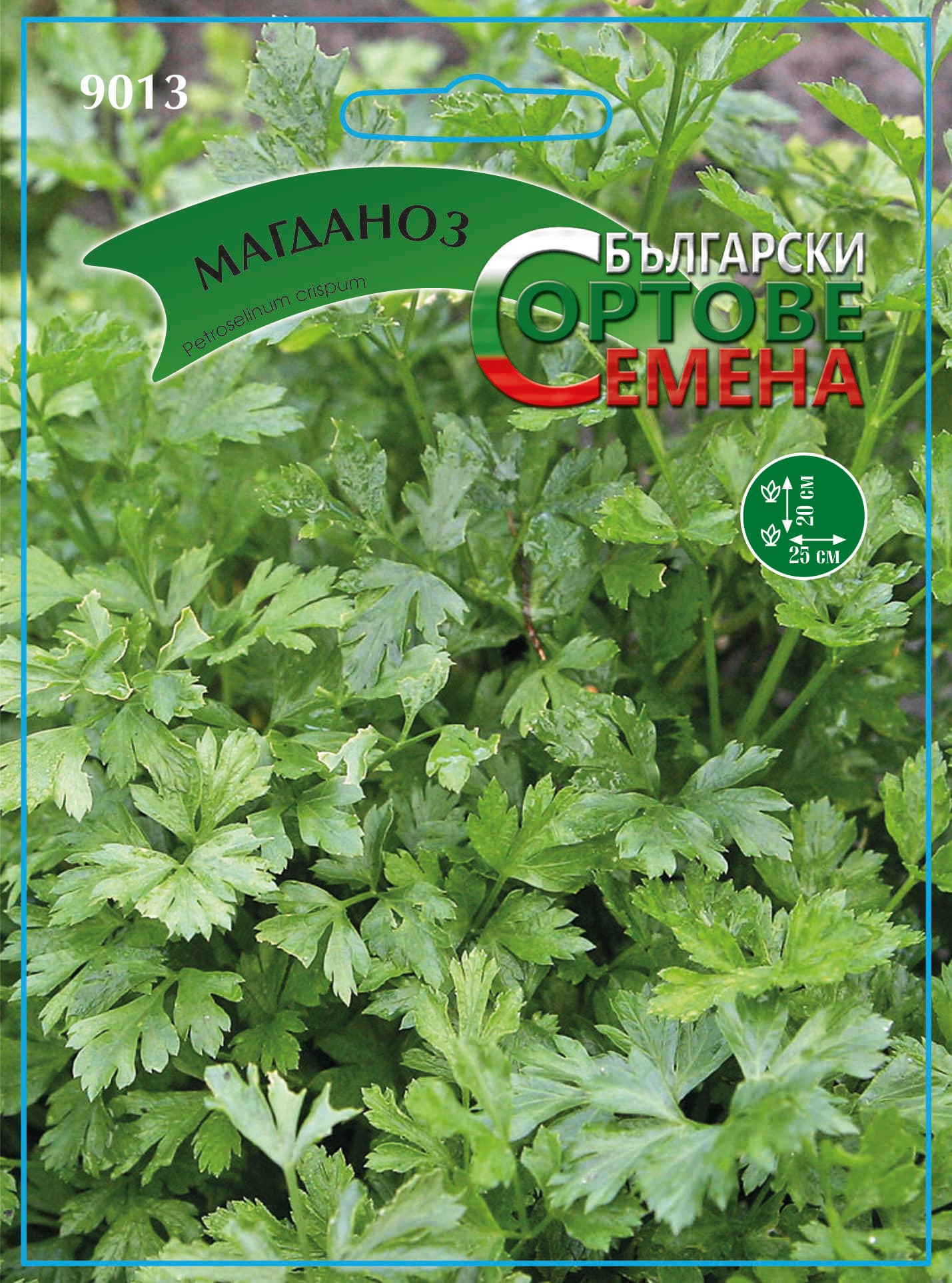 Семена за подправки Магданоз 9013