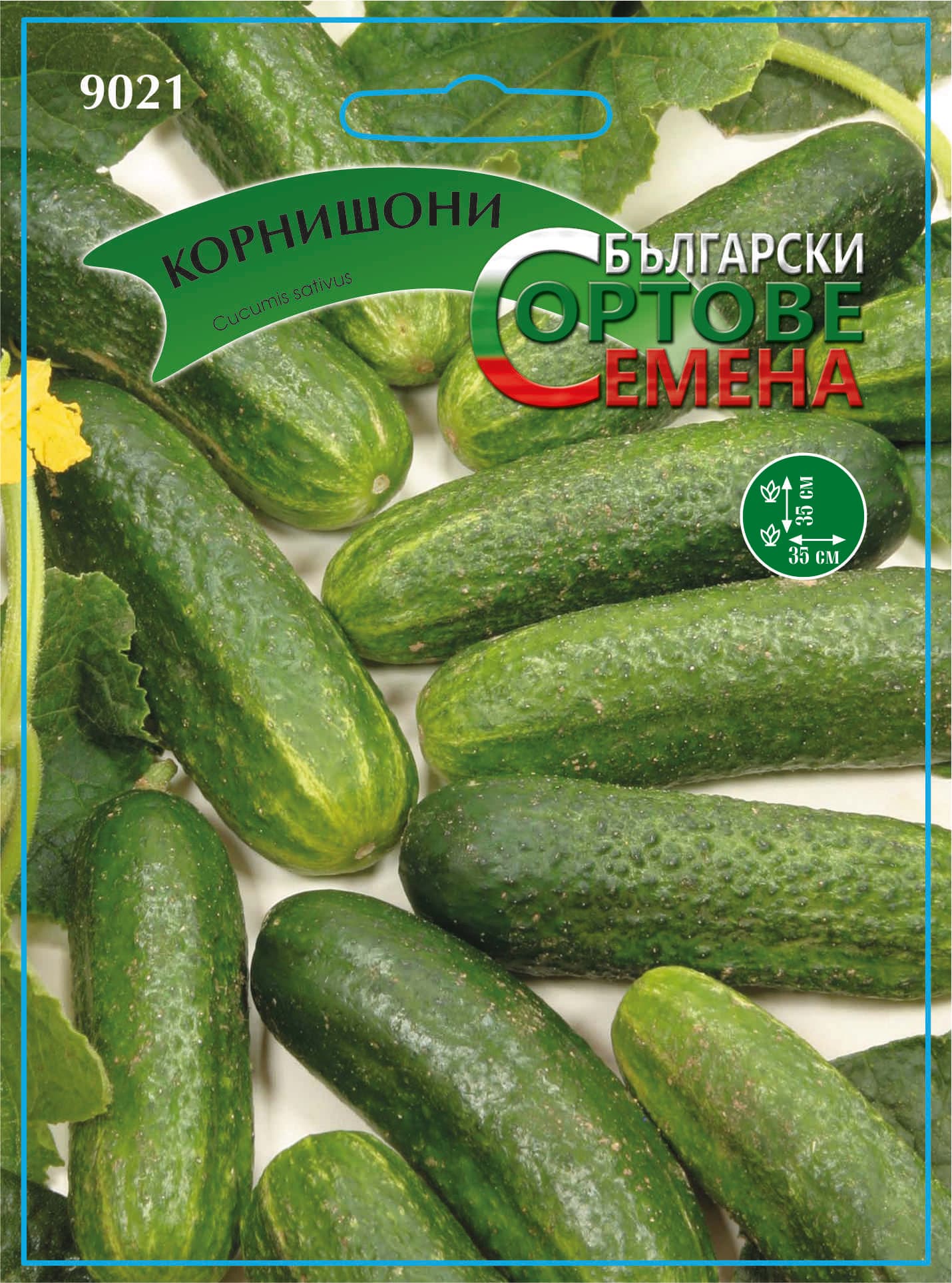 Семена за зеленчуци Корнишон Пиклинг БСС 9021