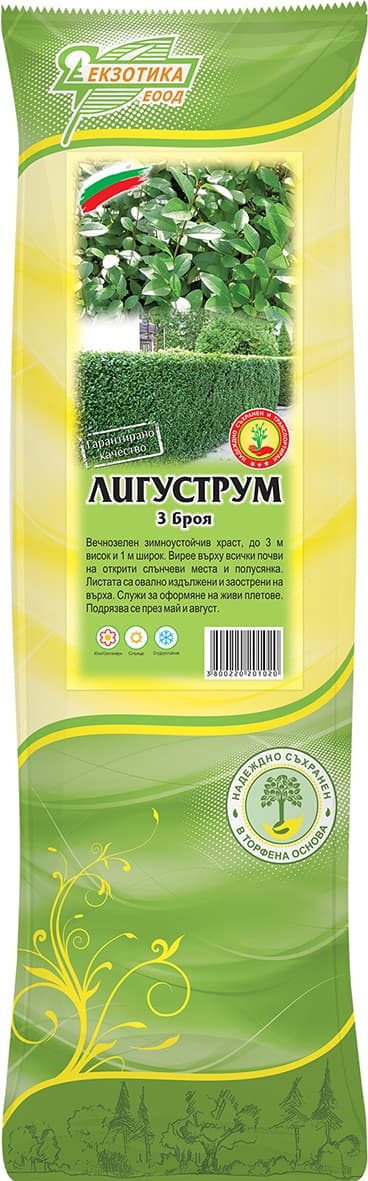 Лигуструм с пакетиран корен 3 броя