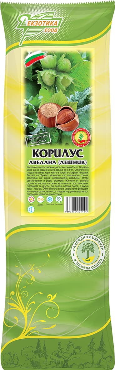 Лешник с пакетиран корен Корилус авелана 