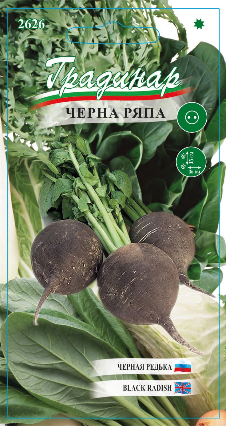 Семена Черна ряпа 2626