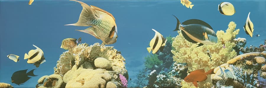 Стенна плочка Тукан Аквариум №3 20x60см