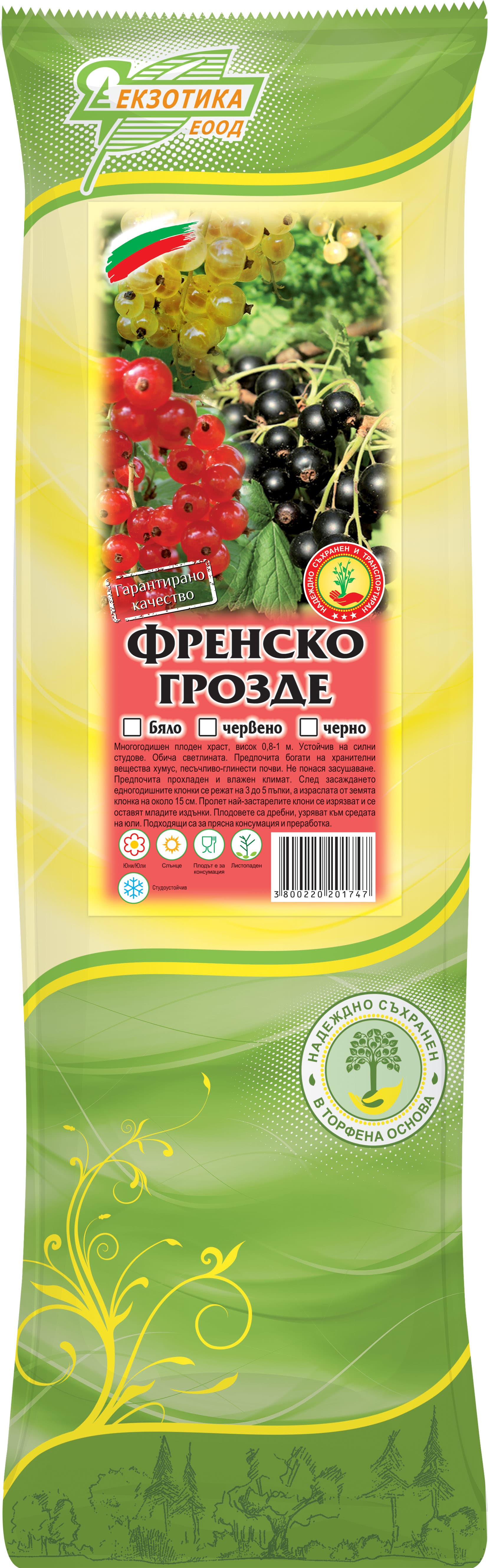 Френско грозде с пакетиран корен
