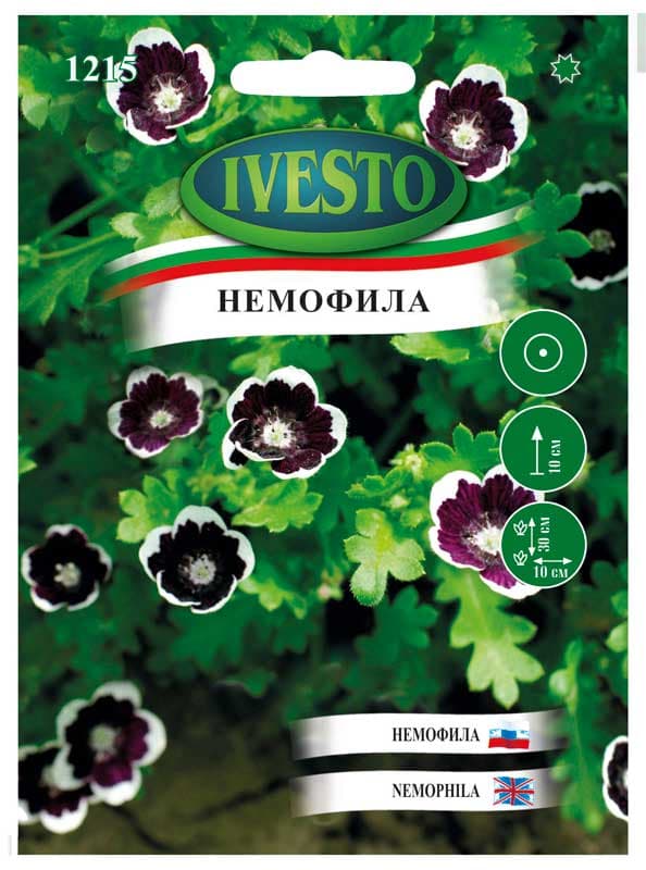 Семена Немофила