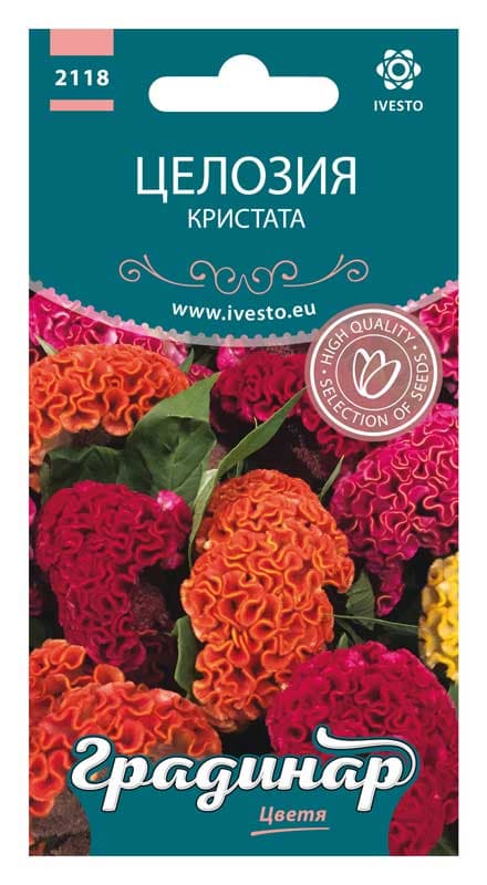 Семена Целозия кристата