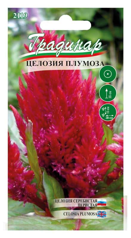 Семена Целозия плумоза