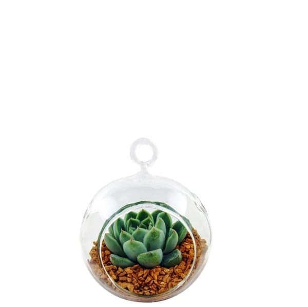 Стъклена аранжировка Cactus glass С8