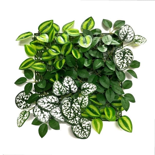 Пано изкуствена зелена декорация My Garden Wandering Jew Mix CCGA338 / 33х33см