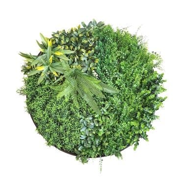 Пано изкуствена зелена декорация My Garden Beauty Secret Frame CCGA110V028 / ø80см
