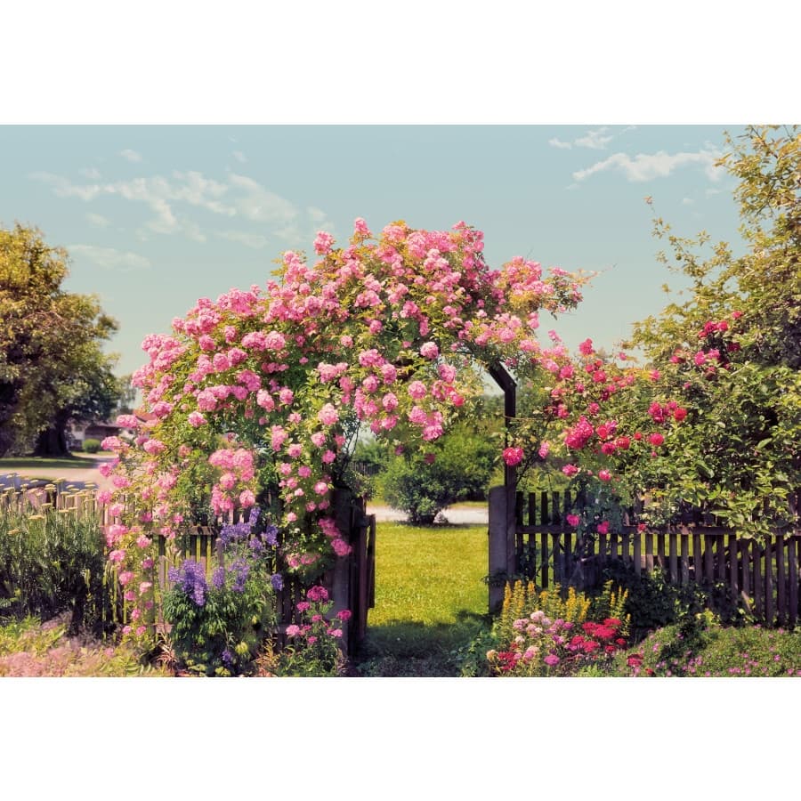 Фототапет Rose Garden 368х254см
