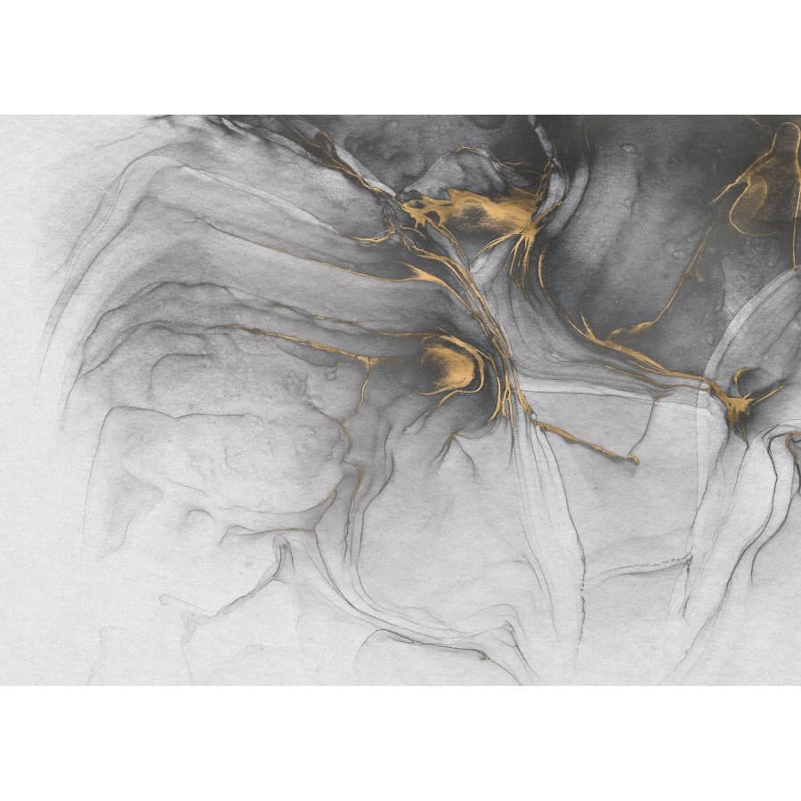 Фототапет Ink Gold Flow 350х250см
