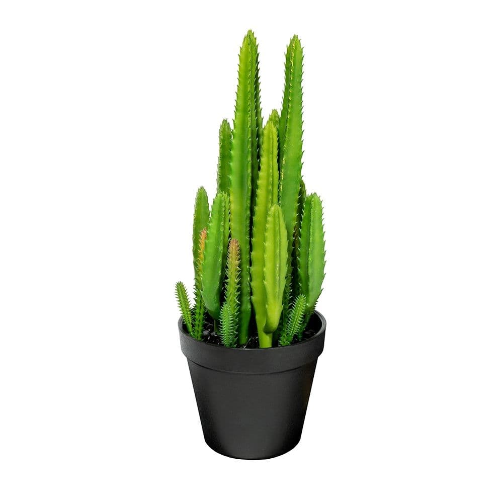 Изкуствено цвете в пластмасова саксия My Garden Cactus зелено